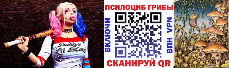 mega рабочий сайт  Иннополис  Галлюциногенные грибы мицелий 